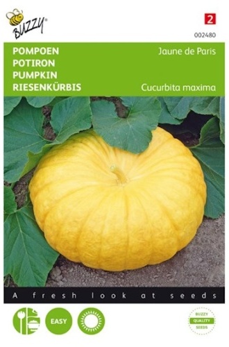 Tekvica Jaune de Paris cca 4 g